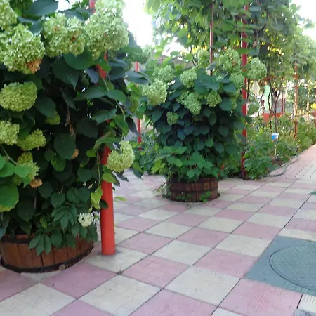 Casa Munteanu * 데포리노드