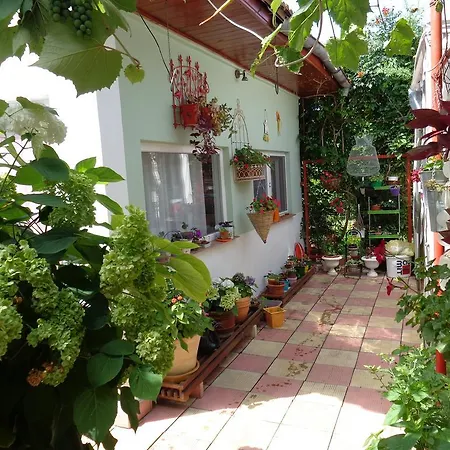 Casa Munteanu *