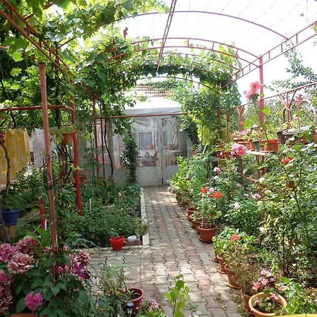 Homestay Casa Munteanu *