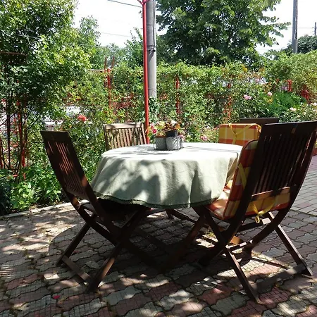 Casa Munteanu Homestay