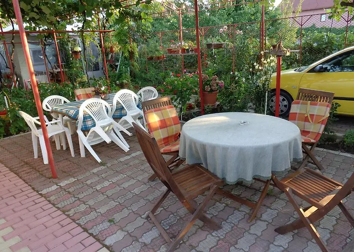 Casa Munteanu 艾福雷诺德