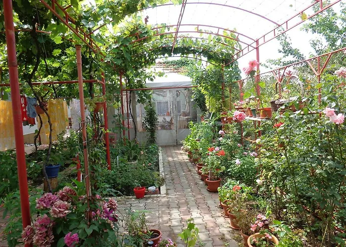 Homestay szállás Casa Munteanu *