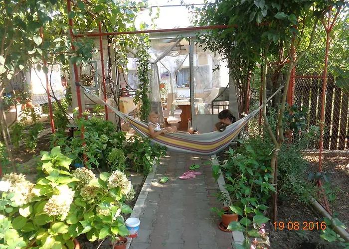 Casa Munteanu * 艾福雷诺德